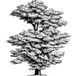 tree-logo