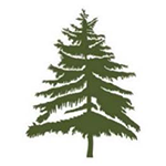 cedar-tree