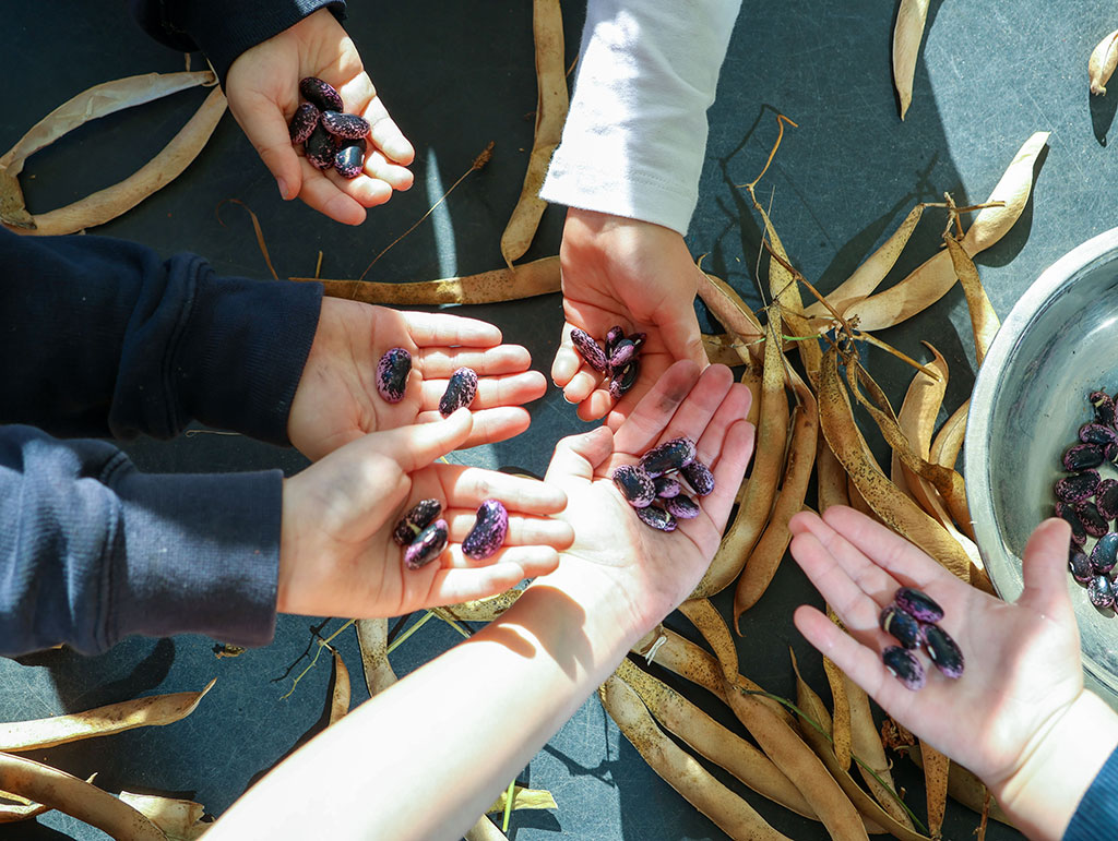 results-for-cheveley-primary-school